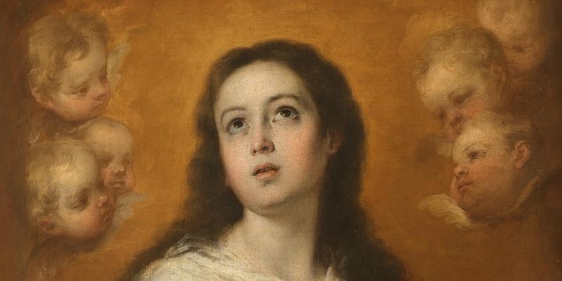 El cardenal Osoro preside en la catedral de la Almudena una Misa en la solemnidad de la Inmaculada