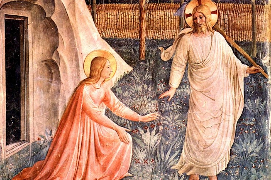 Plenaria del Diálogo Interreligioso con el tema: la mujer como educadora de fraternidad