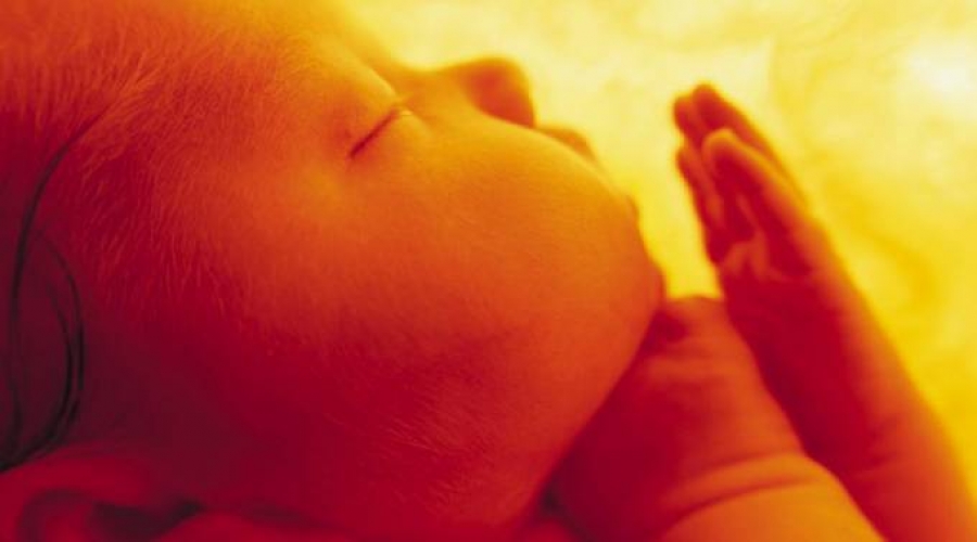 Obispos denuncian presiones internacionales para legalizar aborto en República Dominicana